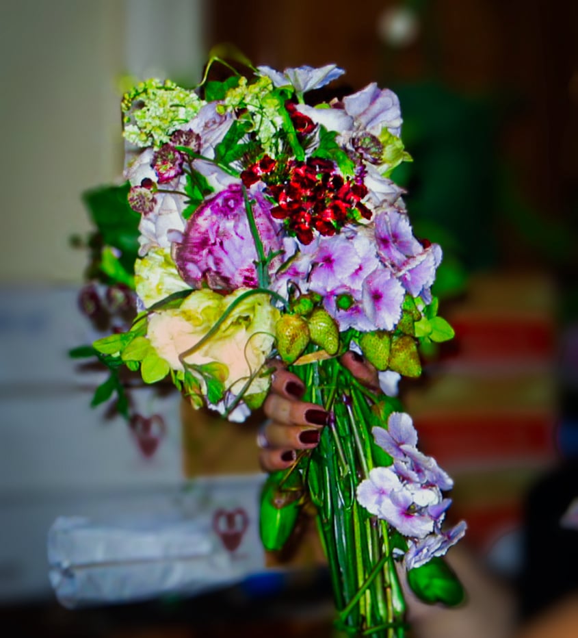 Garden Roses